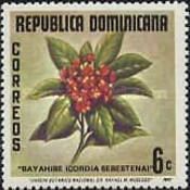 Cordia sebestena