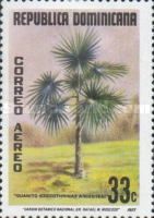 Quantico (Icoccothrinax argentea)