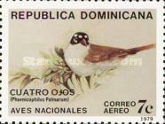 Black-crowned Palm-Tanager (Phaenicophilus palmarum)