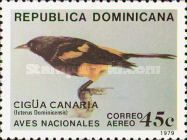 Hispaniolan Oriole (Icterus dominicensis)