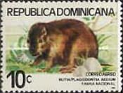 Hispanolian Hutia (Plagiodontia aedium)