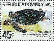 Hawksbill Turtle (Eretmochelys imbricata)