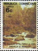 Forest and River