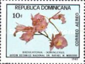 Broughtonia domingensis