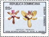 Encyclia truncata