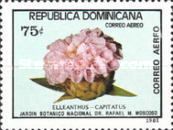 Elleanthus capitatus