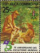 Boy Scout campfire