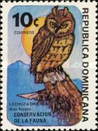 Stygian Owl (Asio stygius)