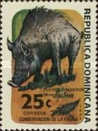 Wild Boar (Sus scrofa)