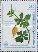 Cundeamor (Momordica charantia)