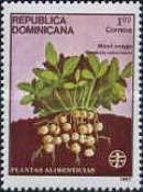 Voandzeia subterranea