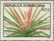 Bromelia pinguin