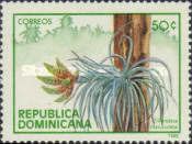 Tillandsia fasciulata