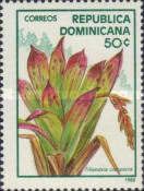 Tillandsia compacta
