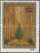Living tree and avenue of dead trees