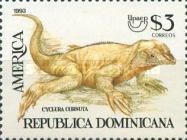Rhinocerus Iguana (Cyclura cornuta)