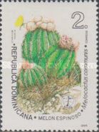 Melocactus communis