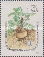 Zamia spp