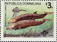 Cuvier's Beaked Whale (Ziphius cavirostris)