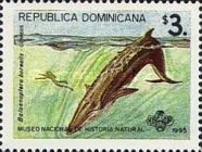 Sei Whale (Balaenoptera borealis)