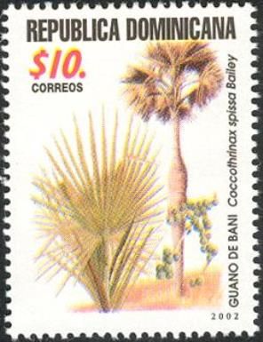 Coccothrinax spissa