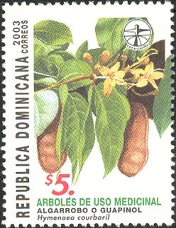 Hymenaea courbaril