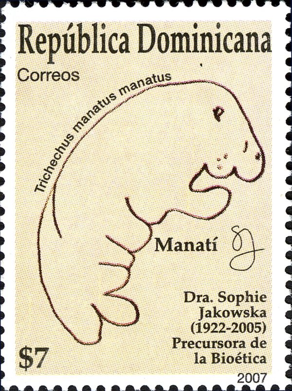 West Indian Manatee (Trichechus manatus)