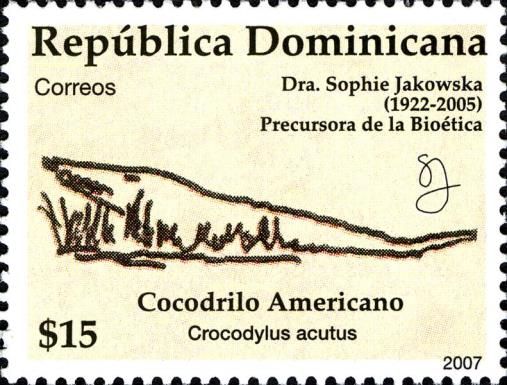 American Crocodile (Crocodylus acutus)