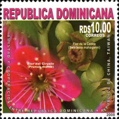 Prunus mume & Swietenia mahagoni
