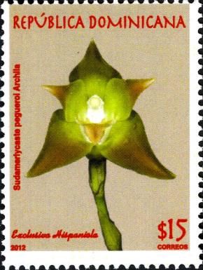 Sudamerlycaste pegueroi