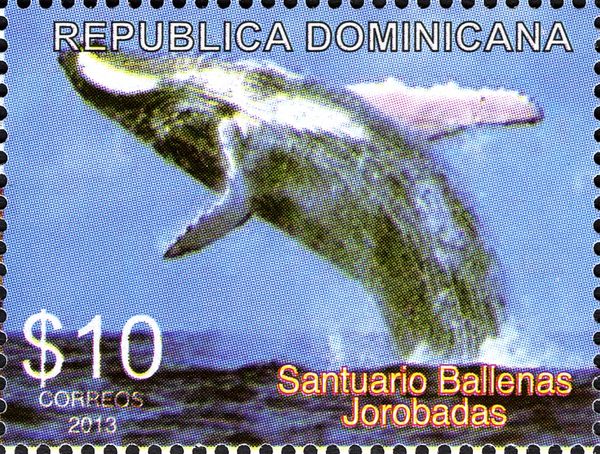 Jorobadas Whale Sanctuary