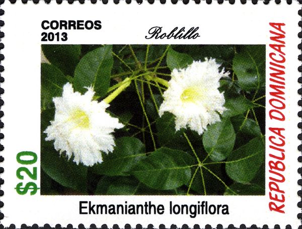 Ekmanianthe longiflora