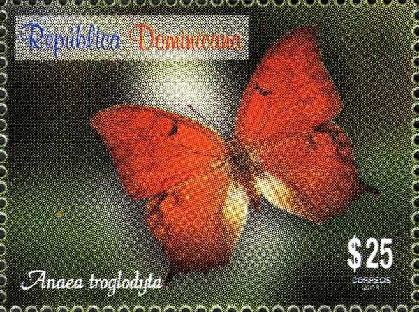 Florida Leafwing (Anaea troglodyta)