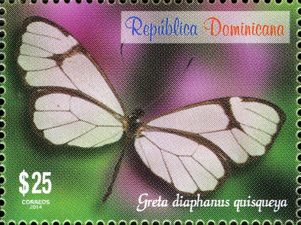 Antillean Clearwing (Greta diaphanus quisqueya)