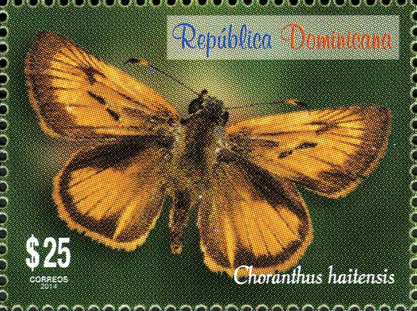 Haitian Skipper (Choranthus haitensis)