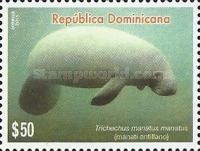 Antillean Manatee (Trichechus manatus manatus)