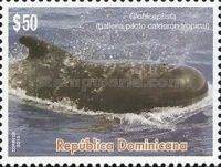 Short-finned Pilot Whale (Globicephala macrorhynchus)