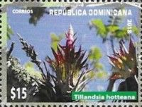 Tillandsia hotteana