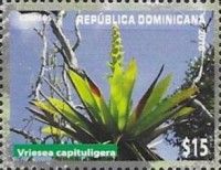 Vriesea capituligera