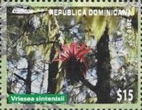 Vriesea sintenisil
