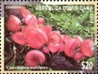 Coockeina sulcipes