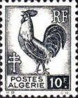 Gallic Cock (Gallus gallus domesticus)