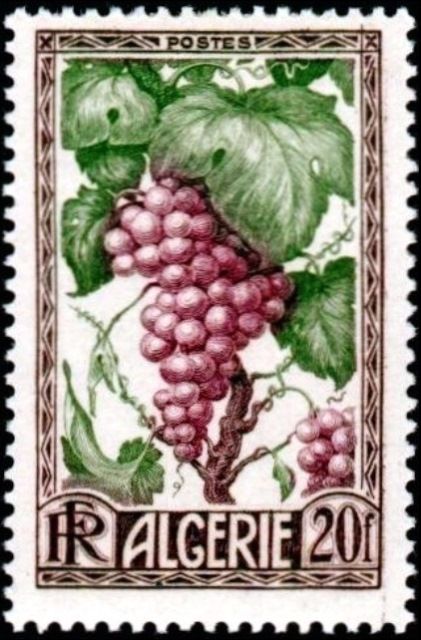 Grapes