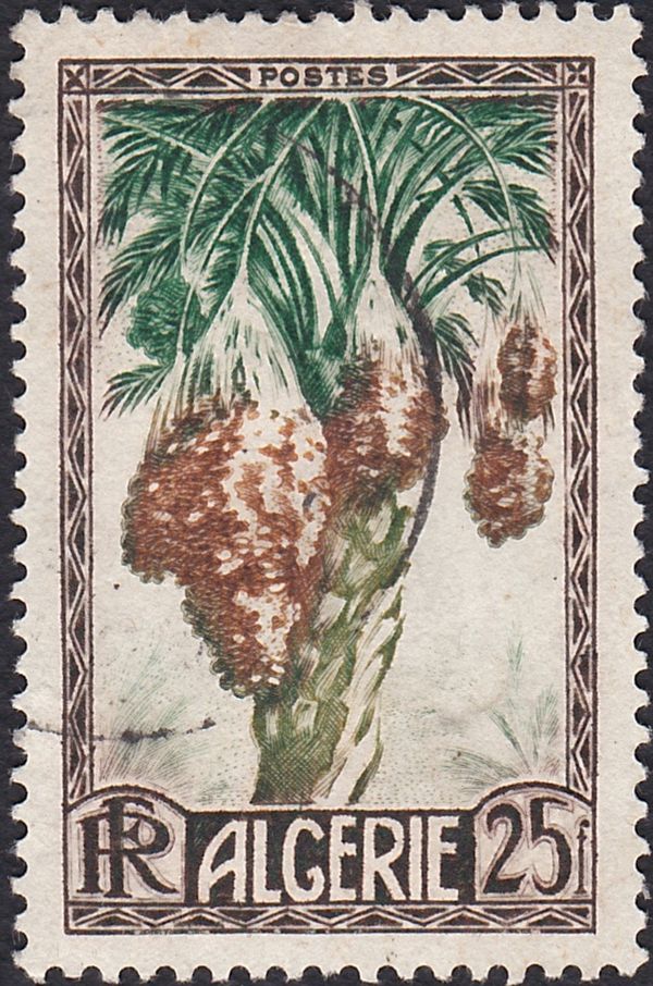Dates