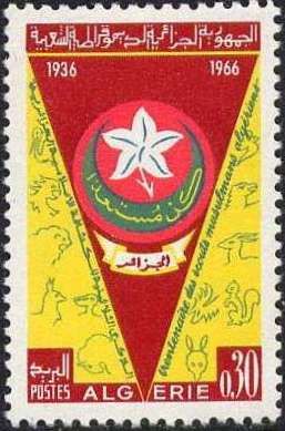 Scout Flag