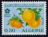 Oranges