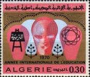 International Education Year