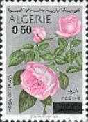 Rose (Rosa odorata) - surcharged