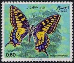Swallowtail (Papilio machaon)