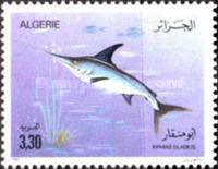 Swordfish (Xiphias gladius)